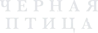 Чёрная птица